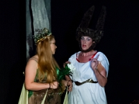 Stepping Out Theatre production of A Midsummer Nights Dream  13425_176